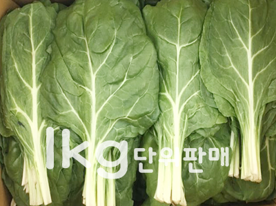 근대(1kg,국내산)