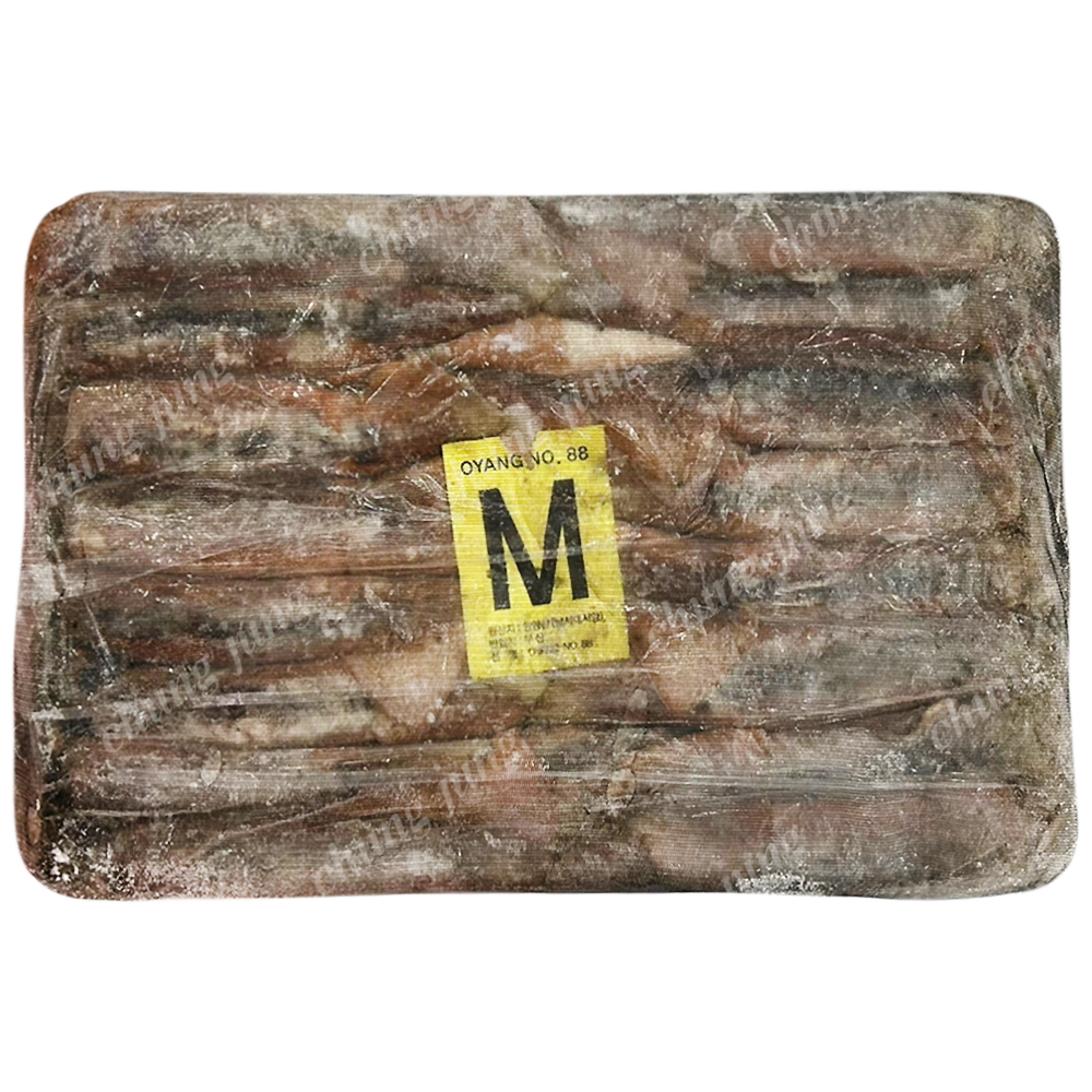 수/오징어(M,18kg,포클랜드)