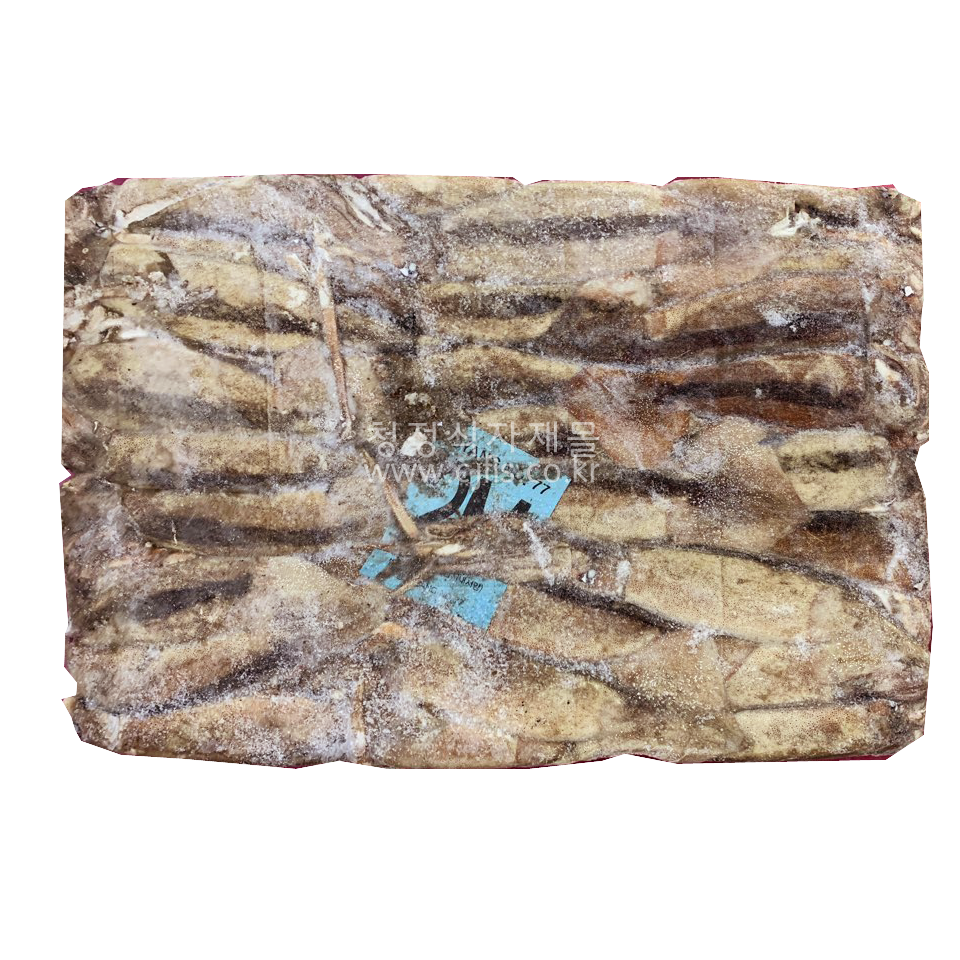 수/오징어(2M,18kg,포클랜드)