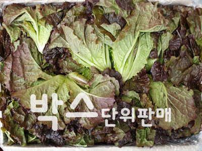 상추순(4kg내외,국내산)