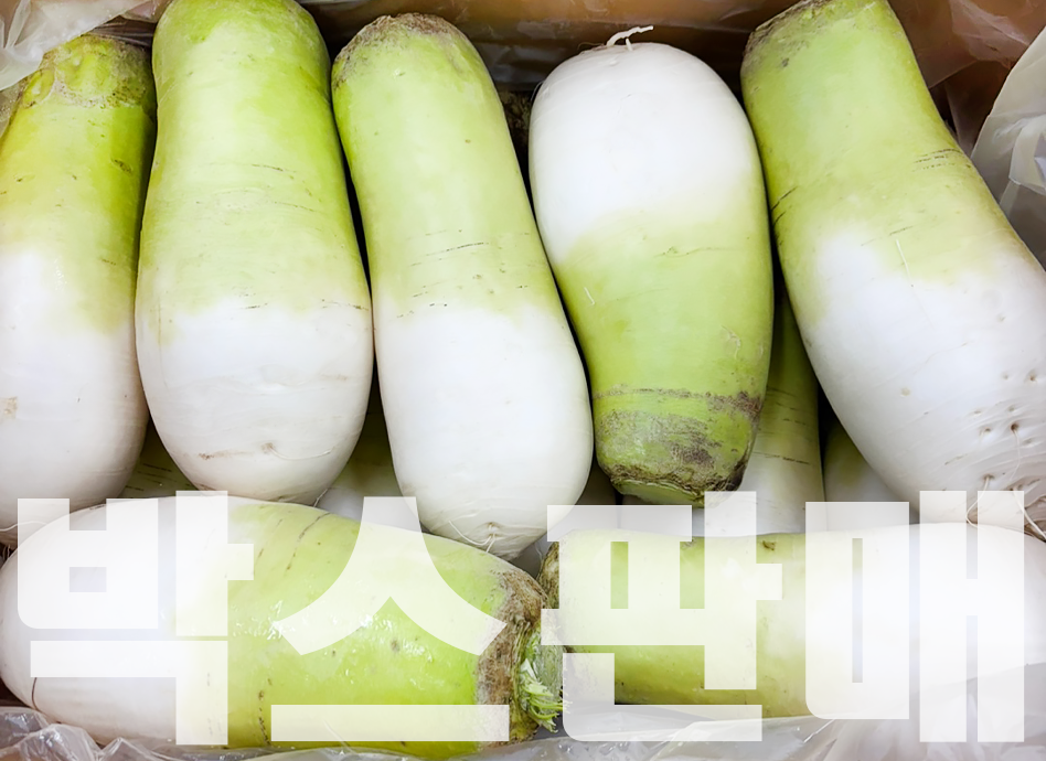 무우(세척,8수 내외,국내산)