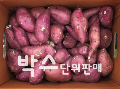 고구마(10kg내외,국내산)