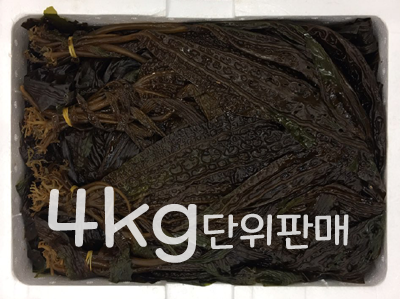 곰피(9~10묶음내외,국내산)