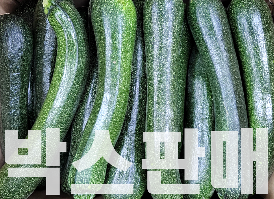 이미지 오류
