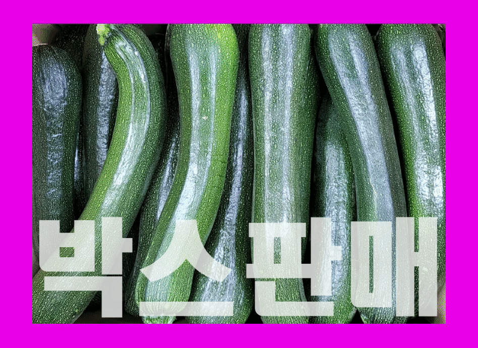 쥬키니호박(특,20개내외,국내산)