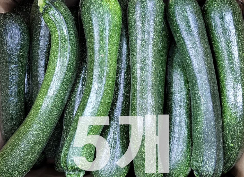 쥬키니호박(특,5개,국내산)