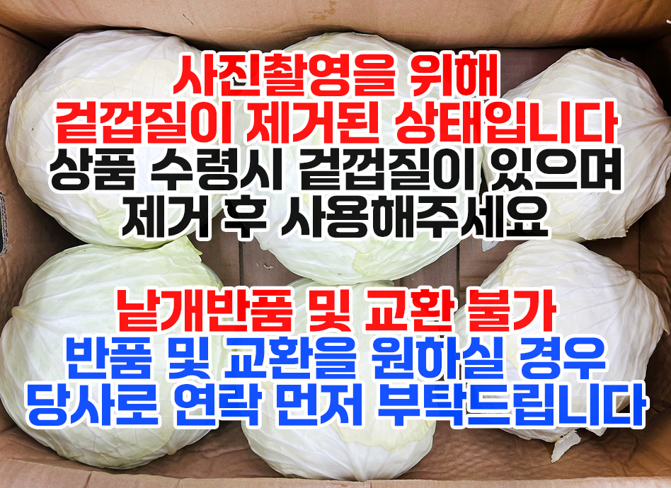 양배추(대용량(6입),박스,중국산)