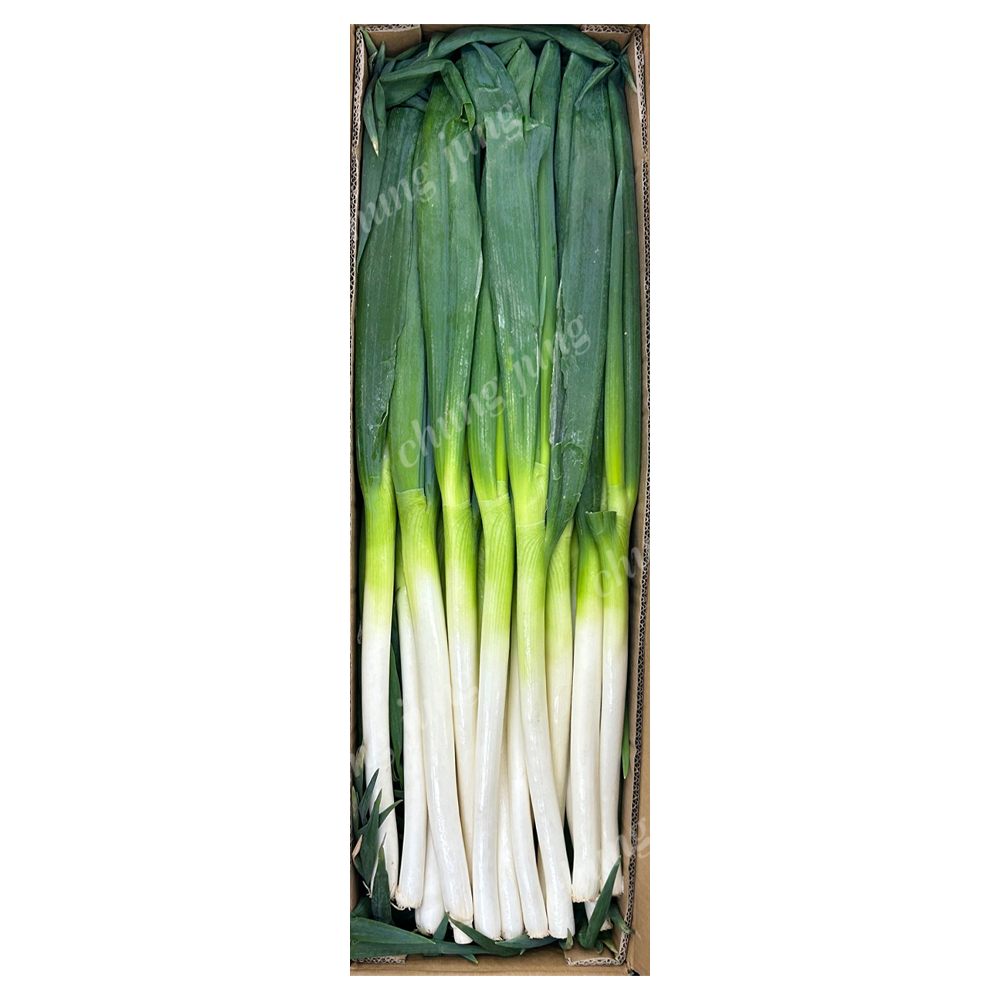 대파(대용량(10kg내외),박스,중국산)