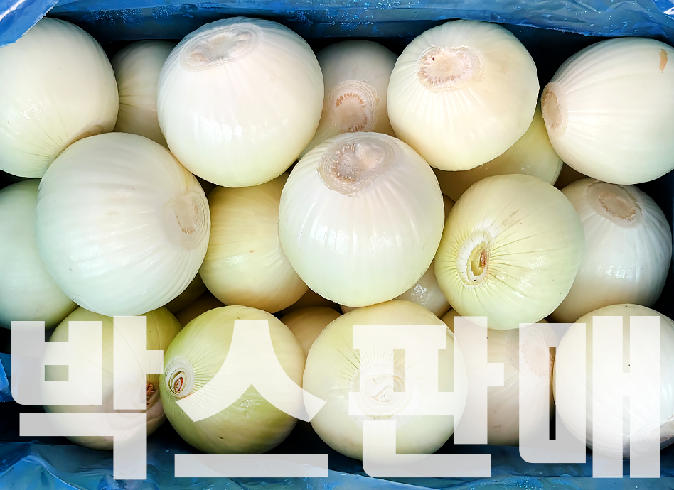 깐양파(10kg,중국산)