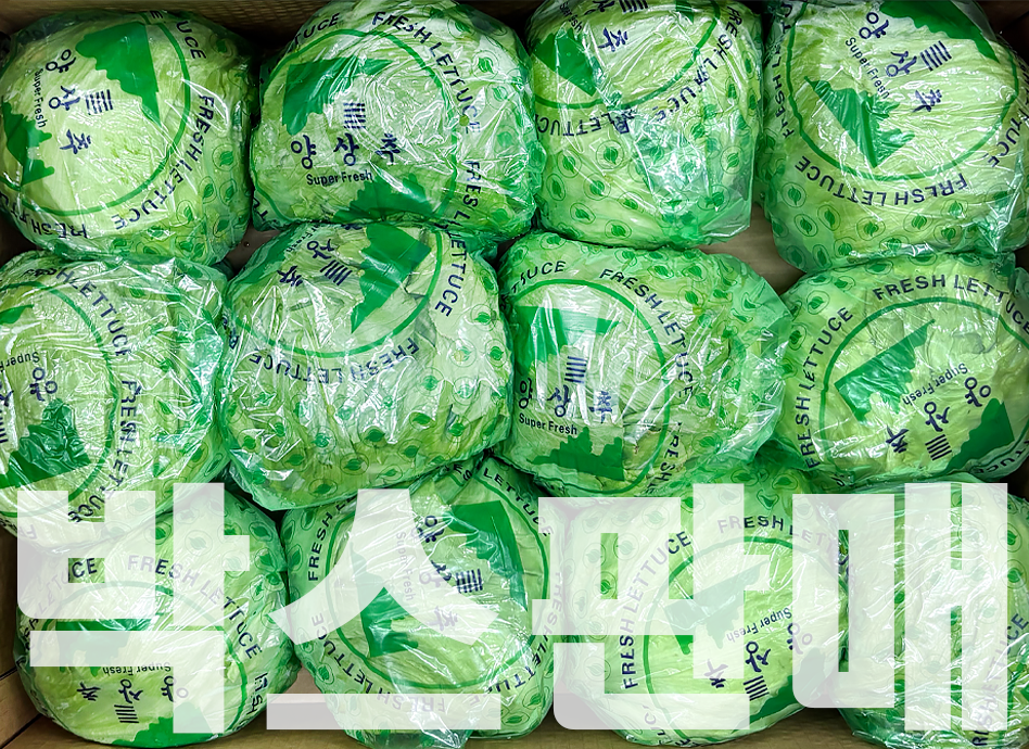 양상추(대용량(12입),박스,중국산)