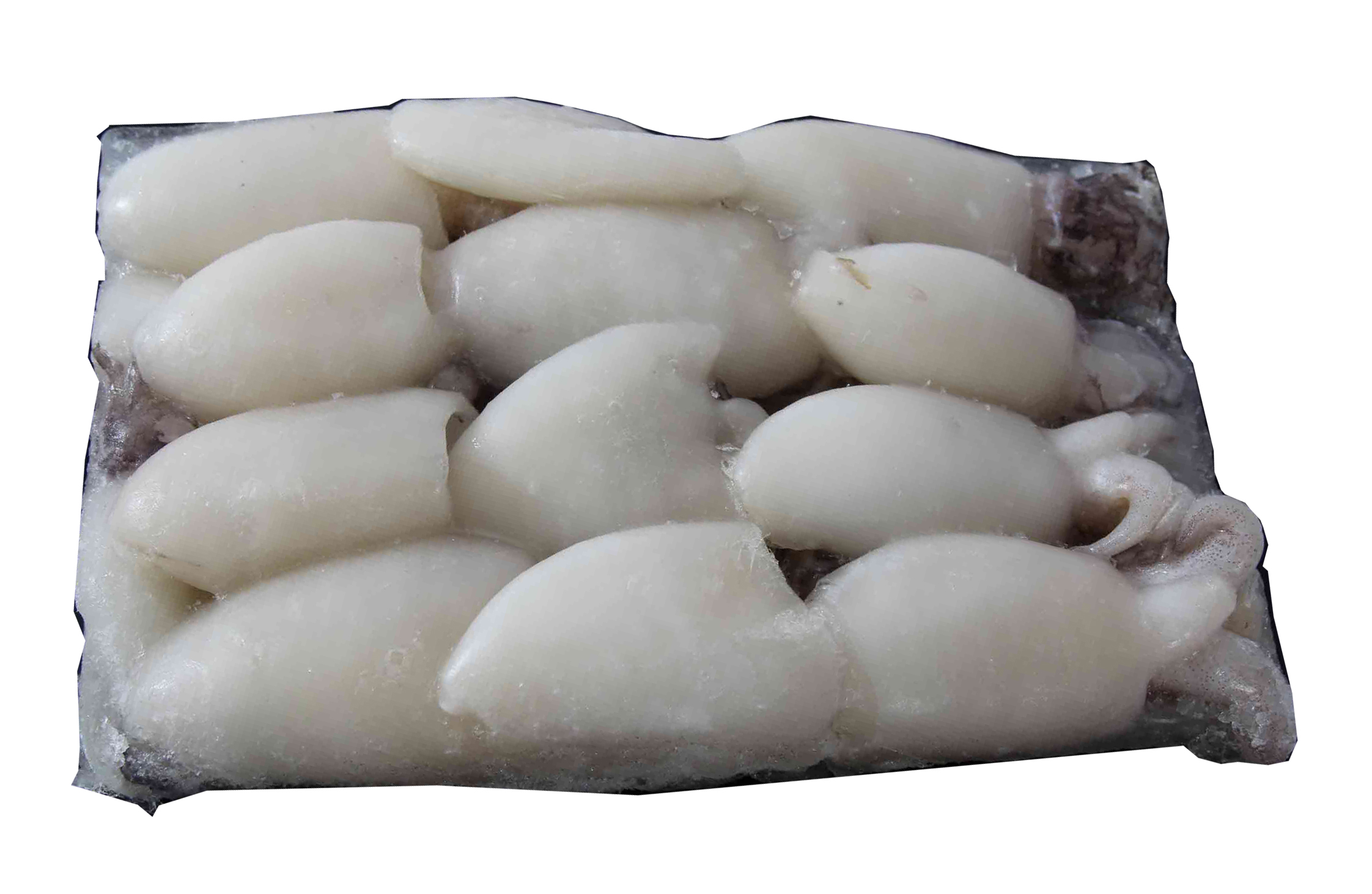 갑오징어(베이비이까,40-60,200g,베트남산)