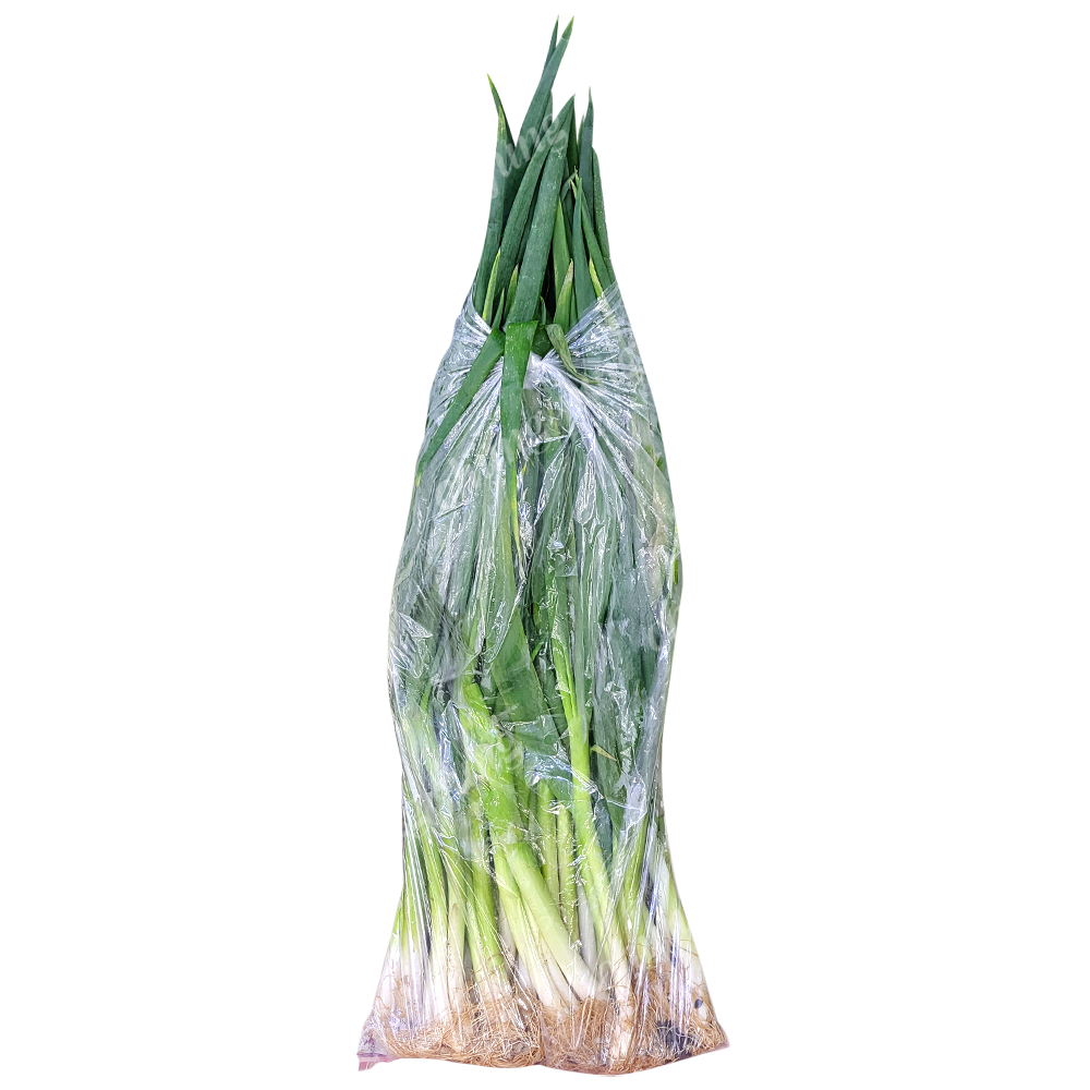 B급 대파(관,국내산)