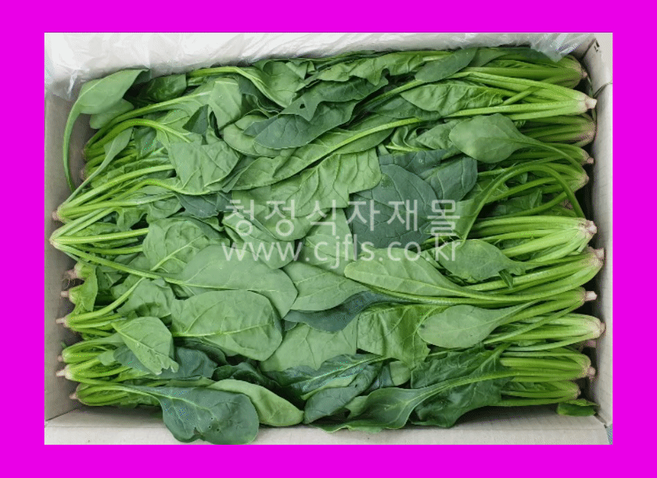 시금치(4kg내외,국내산)