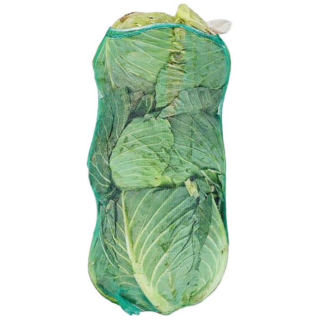 양배추(3입,국내산)