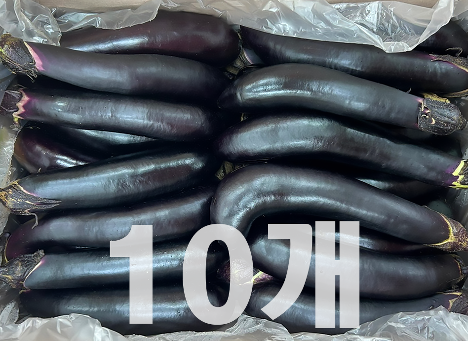 가지(10개,국내산)