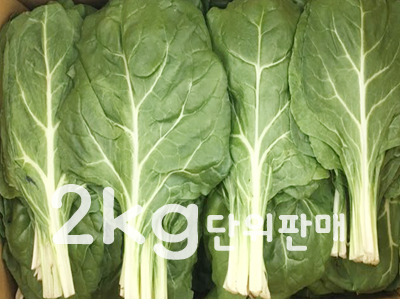 근대(2kg,국내산)