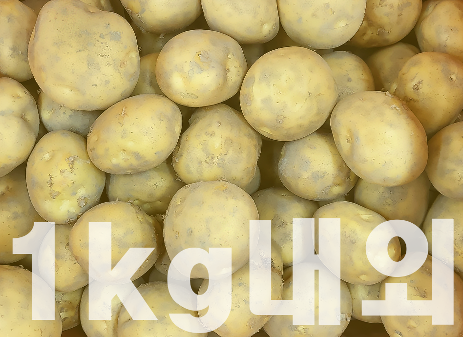 감자(1kg,소분,국내산)