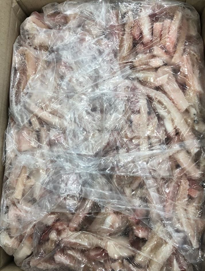 수/가오리(채,7kg)