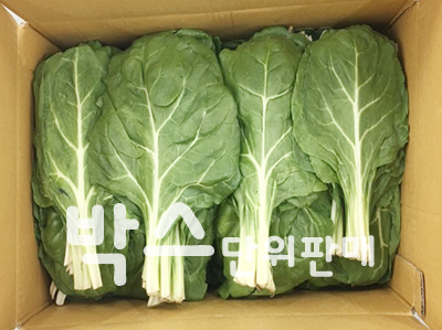 근대(4kg내외,국내산)