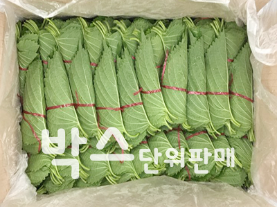 깻잎(100묶음,박스,국내산)