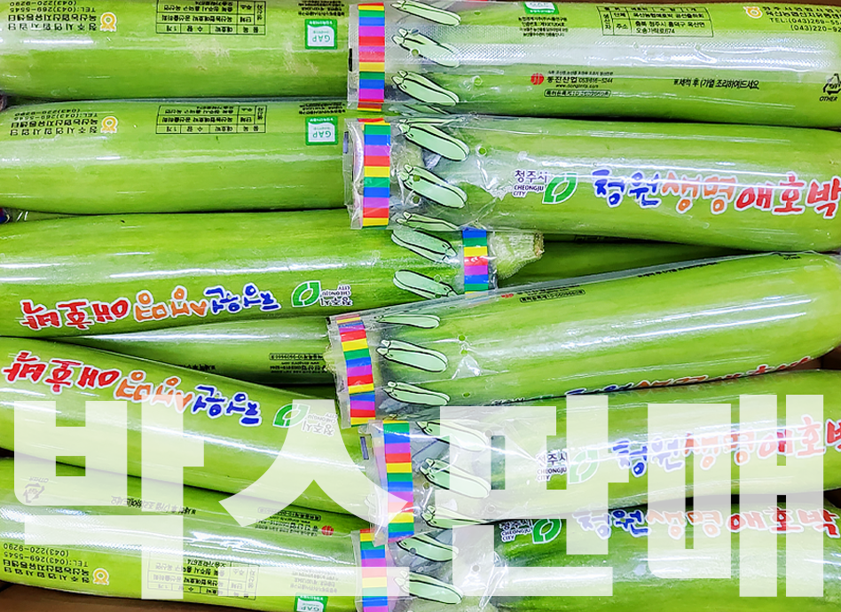 이미지 오류