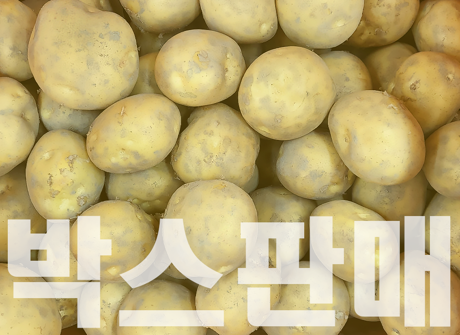 감자(10kg,감자,왕특,국내산)