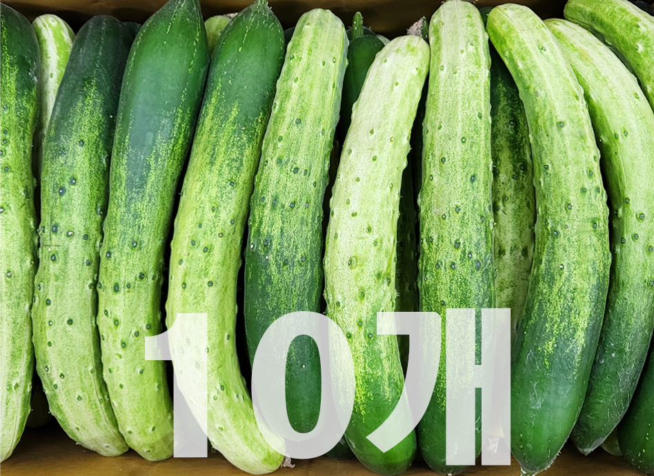 백오이(10개묶음,국내산)