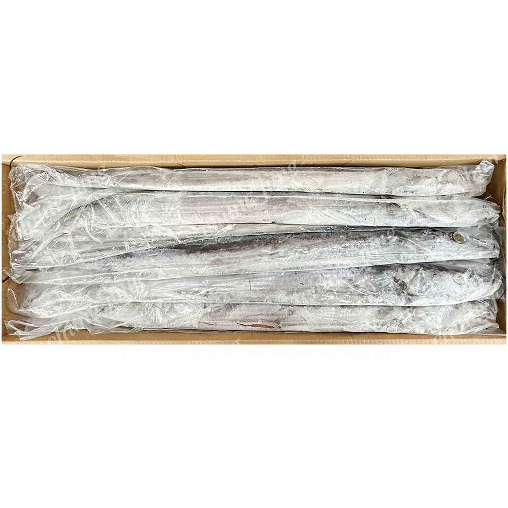 수/갈치(500-700(B)8kg,오만산)