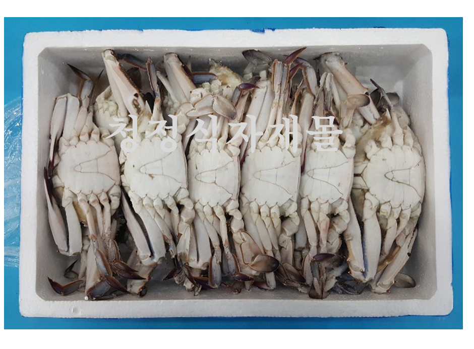 수/꽃게(숫게,200-300,4kg,중국산)