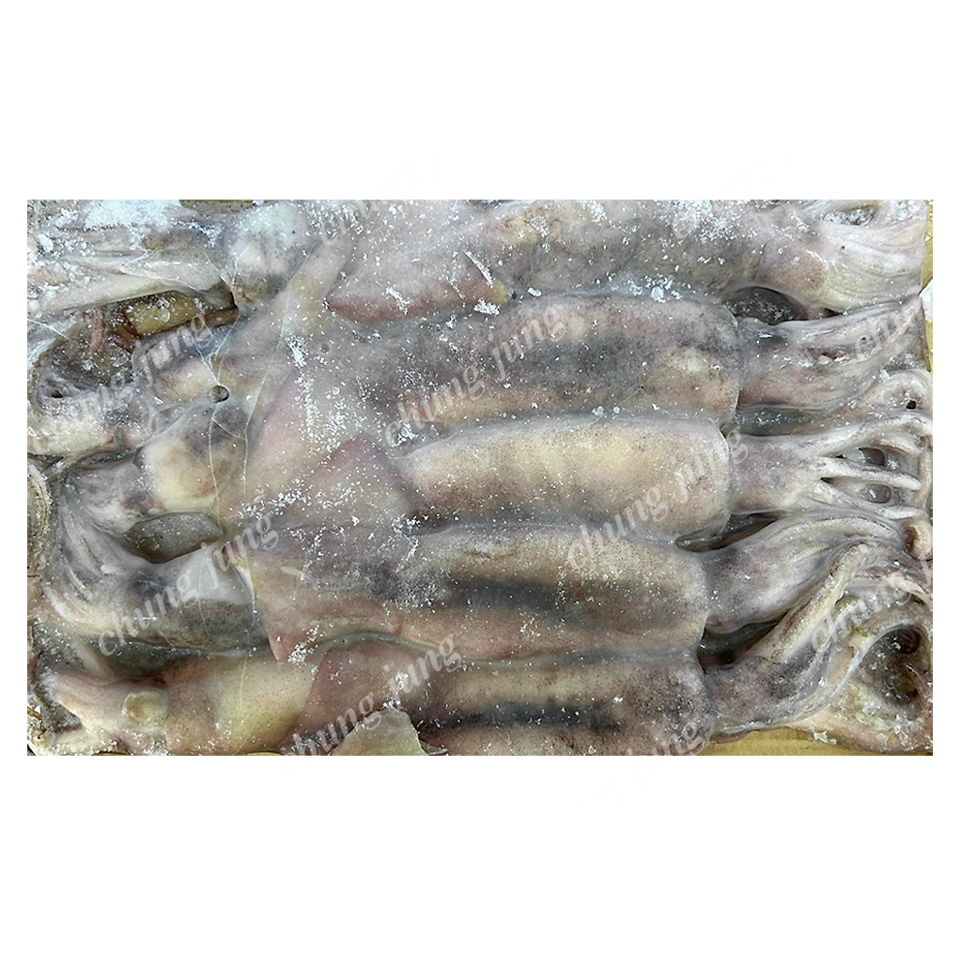 수/오징어(베이트,3kg,중국산)