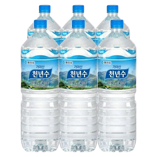 생수(천년수,가야산,2L*6입)
