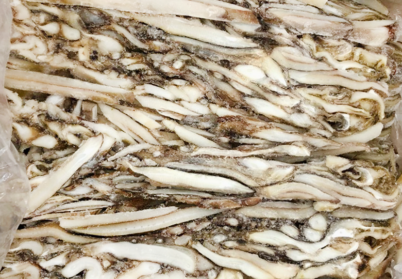 수/오징어(채,4kg,중국산)