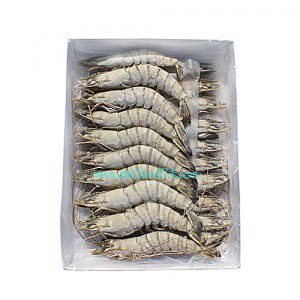 수/BT새우(20미,500g)