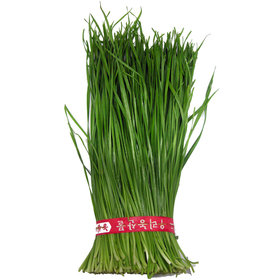 부추(단,국내산)
