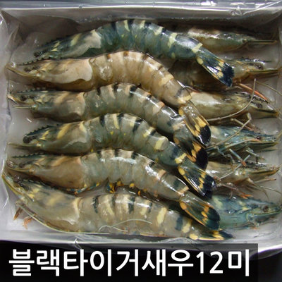 수/BT새우(12미,500g)